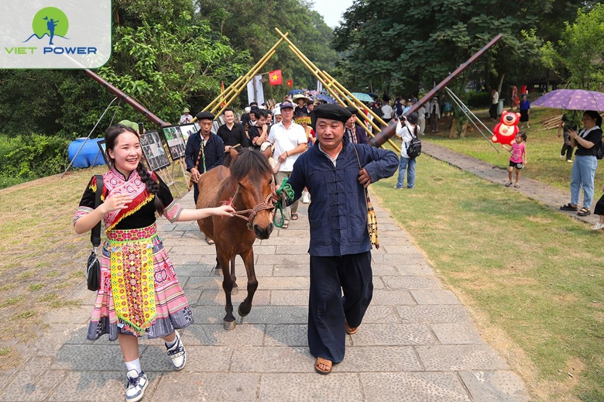 Cultural and Local Experiences