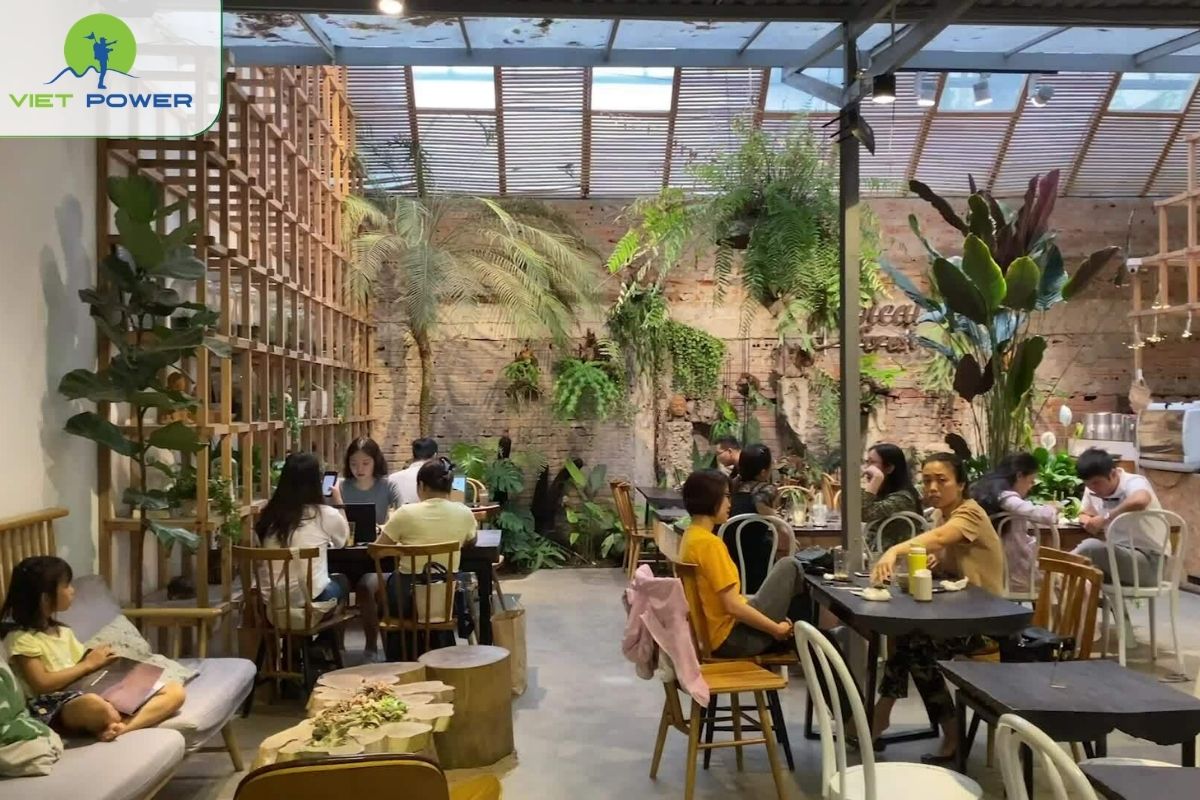 You can explore small café