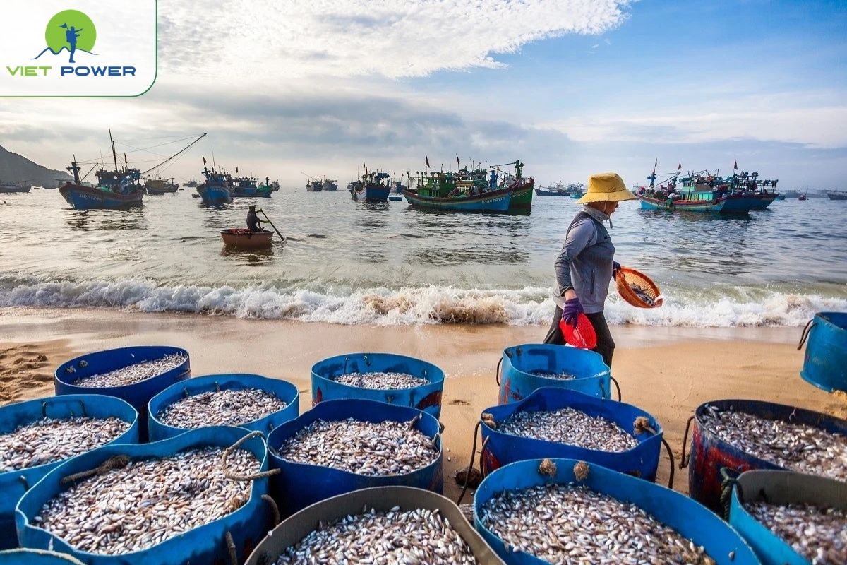Nhon Ly Fishing Village